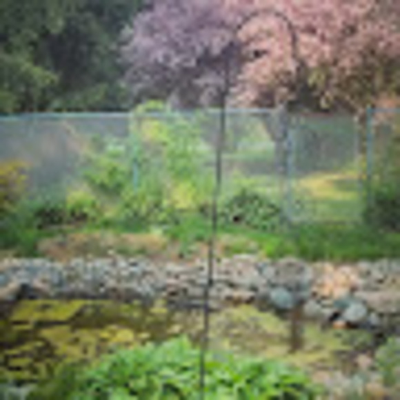 Meet your Posher, Alysia - Picture 1 of 1